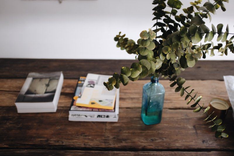 Desk, plant and books