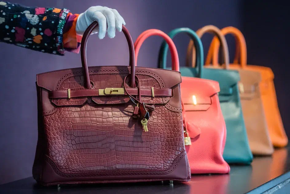 Hermès Birkin handbags in different colors displayed in a row with a focus on luxury design details